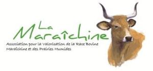 https://terresinsolites.fr/wp-content/uploads/2019/11/logo-asso-la-maraichine-300x141.jpg